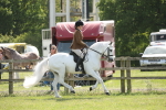 SBM_09184