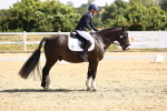 SBM_003556