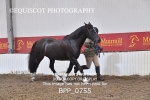 BPP_0755