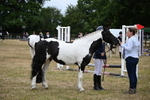 WJ6_4375