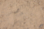 20260523-1350