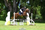 Cls 202 4 Yr Old Qualifier 90cm portfolio