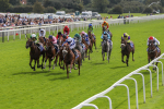 250823-Race 1-Marhaba The Champ-5750