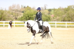 SBM_007865