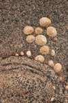 Inishowen Granite 4 (06081551)