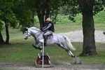WJ7_9531