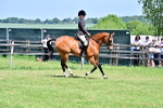 SBM_15275