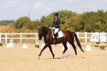 SBM_018364