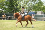 SBM_06942