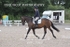 BPP_7983
