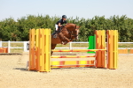 SBM_000981