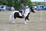 WJ7_6816