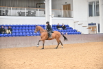 SBM_001943