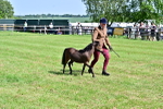 SBM_03601