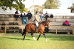 SBM_54321