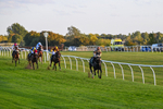 300926-Race 8-Jojo Rabbit-7165