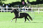 SBM_50416