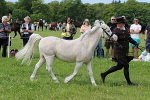 SIAL3148