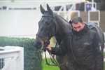 Race 2 portfolio