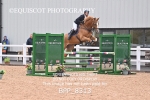 BPP_8313