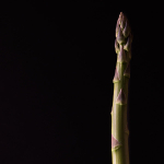 theme 7 week 3: FOOD