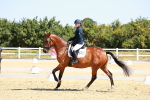 SBM_009847