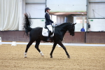 SBM_000891