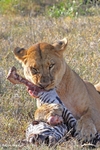IMG_0874 Nakuru
