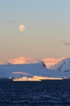 Moonrise above the bergs