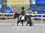 BPP_8554