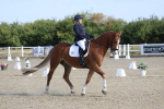 SBM_020231