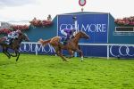 Race 6 4.45pm British Stallion Studs EBF Convivial Maiden Stakes portfolio