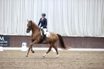 SBM_000219