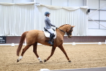 SBM_007253