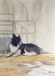 'The Colonel'