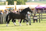 SBM_02345