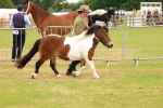 SBM_04415