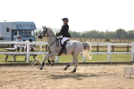SBM_03330