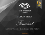 8th Zebra International Black and White Photography Awards_Dereen Wood