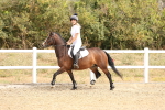 SBM_001235