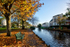 DW36 - Autumn colours at Dawlish Brook