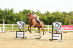 SBM_000356