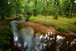 Ober Water