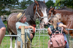 Guernsey Agricultural Show 2021-12