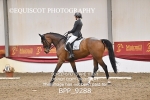 BPP_9288