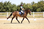 SBM_009489