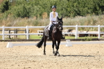 SBM_003433