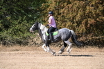 WJ6_8510