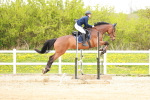 SBM_006006