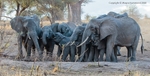 Tanzania (October 2018) portfolio